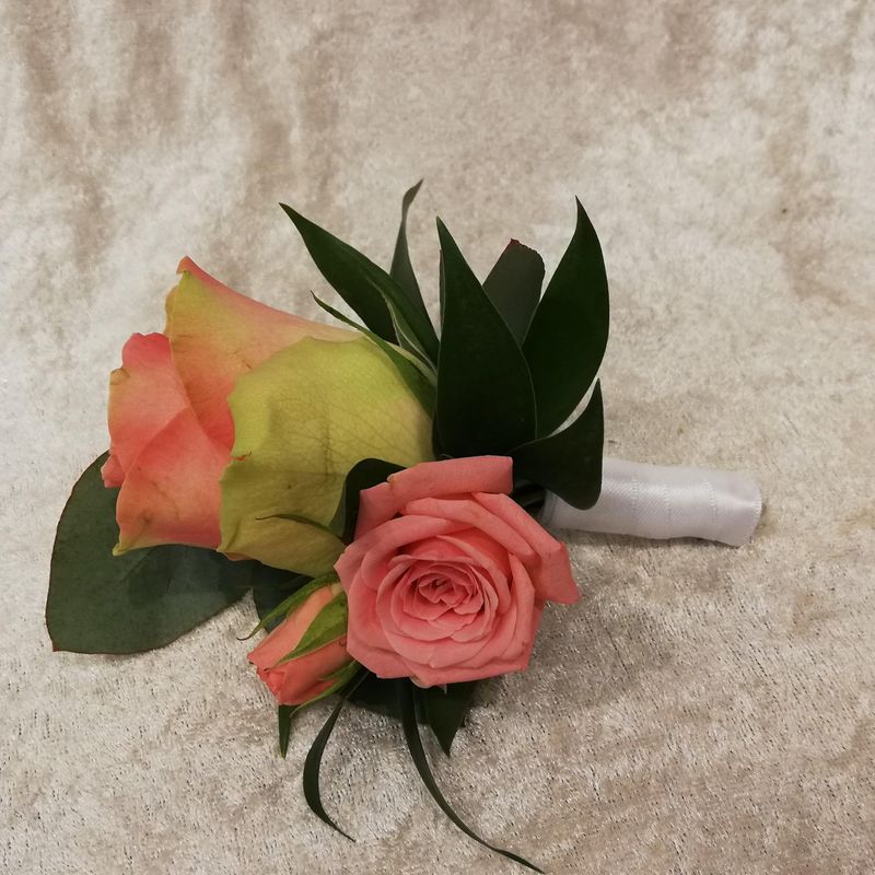 Knapphullsblomst